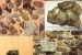 Mineraly. Záhnedy s ametystom, svetove, druzy, stiavnicke mineraly obrázok 3