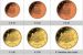 Nova sada minci Belgicko 2014 BU s novym motivom obrázok 1