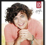 One Direction plagáty – fotka 3